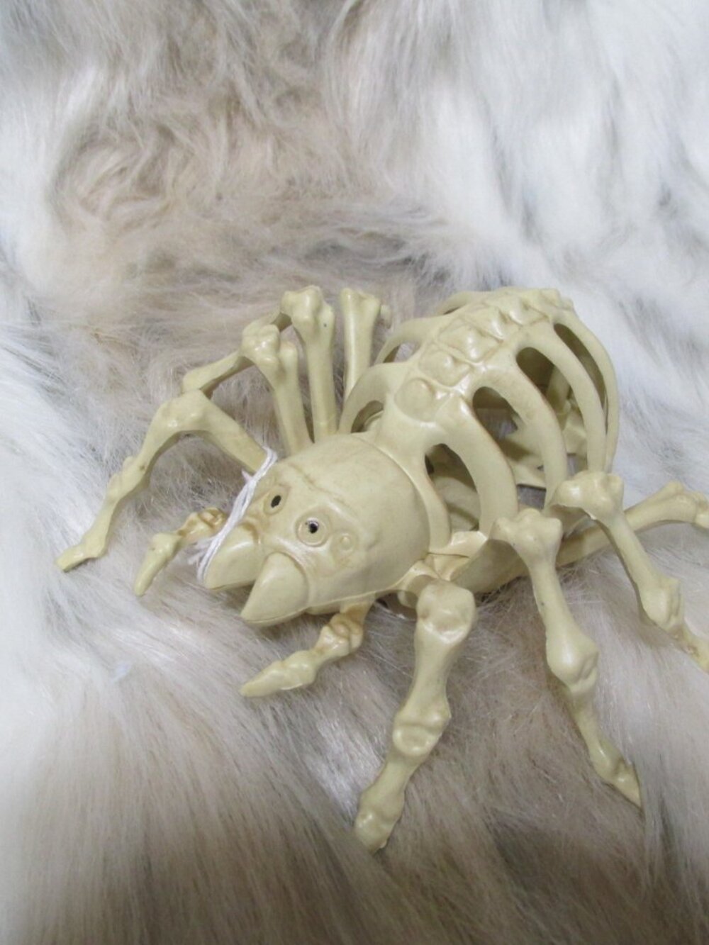 H89-NEW Spider Skeleton Halloween